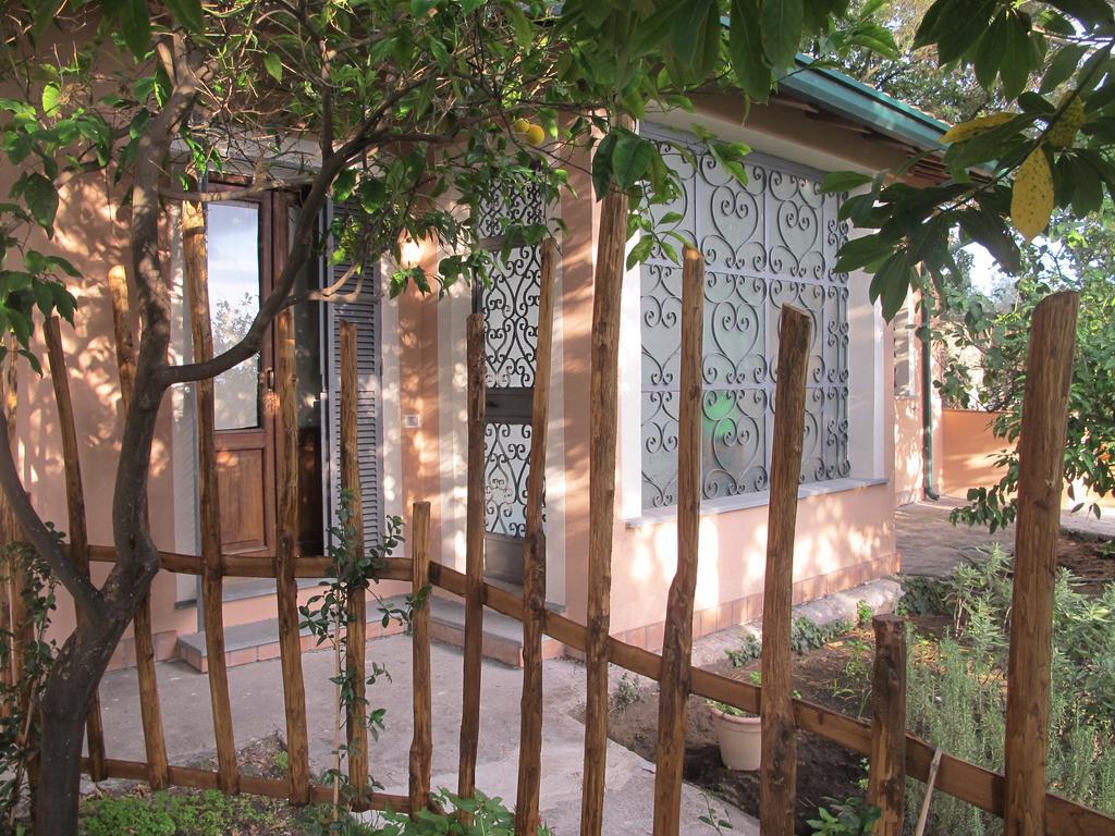 ماسكالوتشا Casa Vacanze Amaryllis المظهر الخارجي الصورة